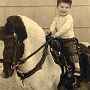 Butch riding horse